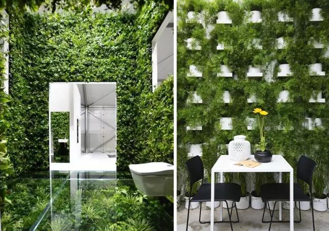 綠植長在墻上，個性又省地方！